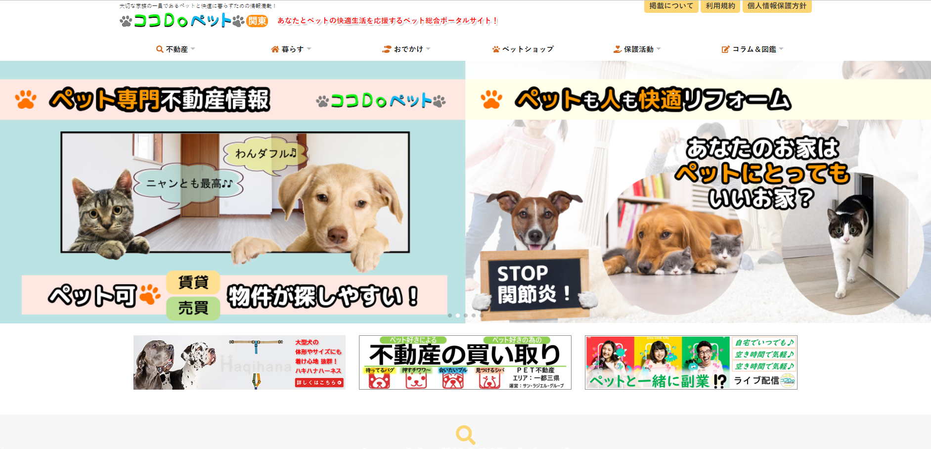 ペット系情報ポータルサイト「ココDoペット」　